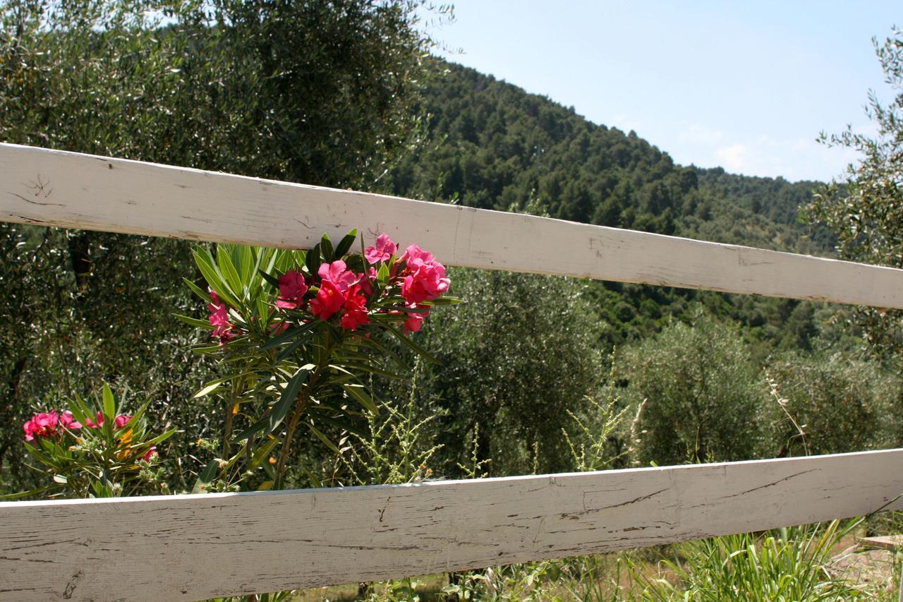 Agriturismo Affittacamere Atlhos Vieste Zewnętrze zdjęcie